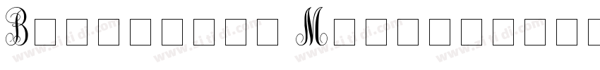 Beautiful Monogram字体转换